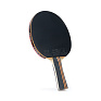   / TORRES Master 3*, TT23007,  ,  2,0 , . 