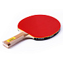   / TORRES Control 9, TT0002,  ,  1,8 , . 