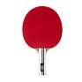   / TORRES Profi 5*, TT23009,  ,  2,0 , . 