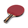   / TORRES Master 3*, TT23007,  ,  2,0 , . 