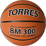  . TORRES BM300, B02016, .6, , . , . , 